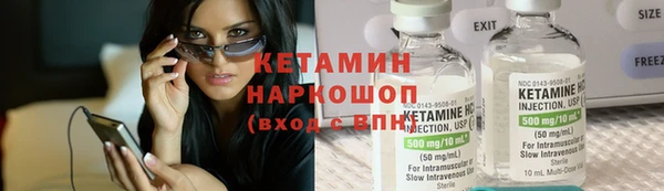 индика Елабуга