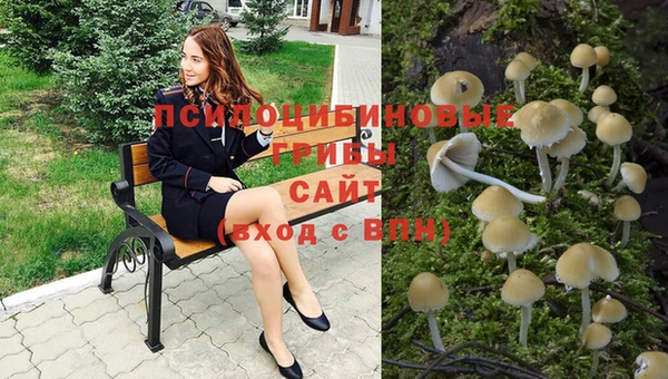 хмурый Покров