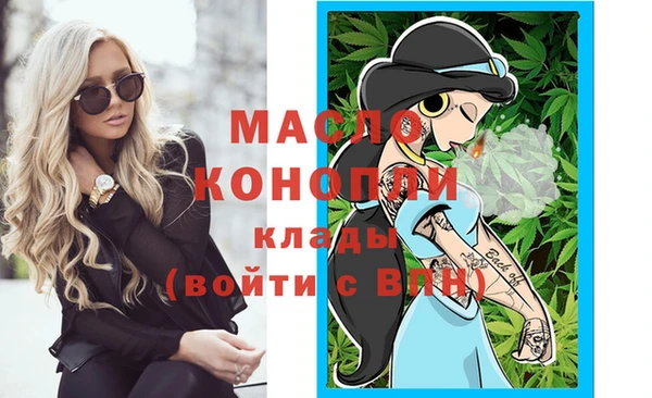 индика Заводоуковск