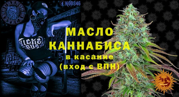 МДПВ Ельня