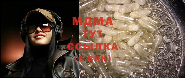 индика Елабуга