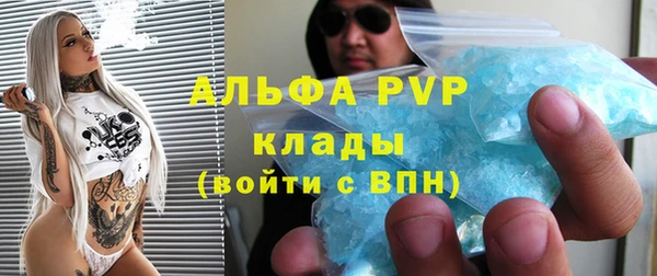 МДПВ Ельня