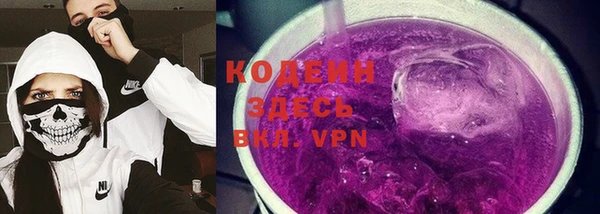 индика Елабуга