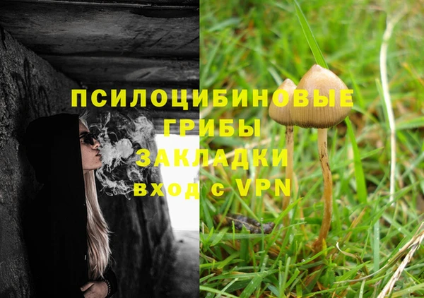 круглые Елизово